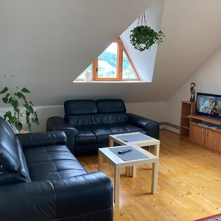 Apartman Pod Laznema 예세니크 외부 사진