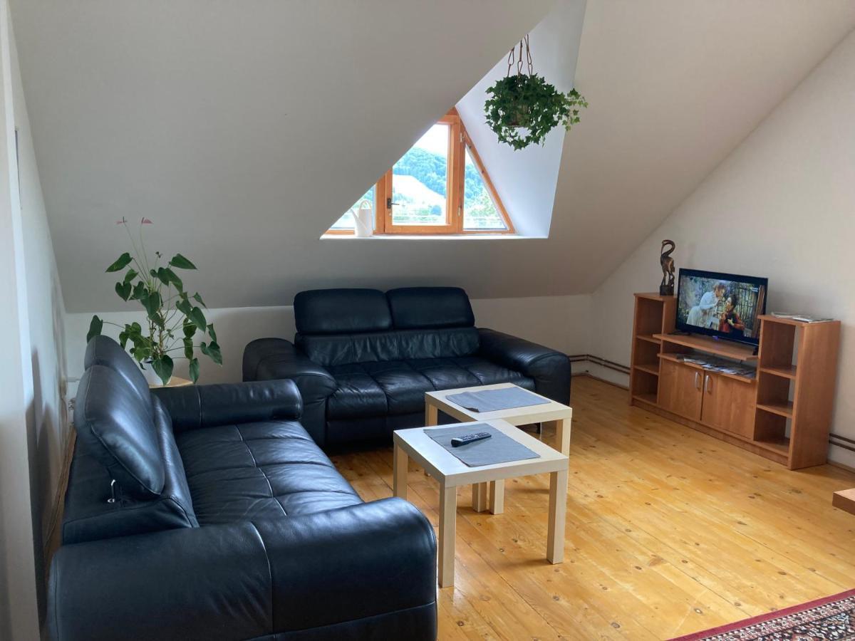Apartman Pod Laznema 예세니크 외부 사진
